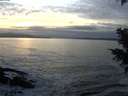 ./images/koeye/fitz-hugh/20201125/fitz-hugh20201125_161502.jpg
