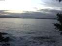 ./images/koeye/fitz-hugh/20201125/fitz-hugh20201125_163002.jpg