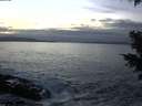 ./images/koeye/fitz-hugh/20201125/fitz-hugh20201125_163502.jpg