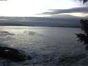 ./images/koeye/fitz-hugh/20201125/fitz-hugh20201125_165001.jpg