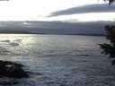 ./images/koeye/fitz-hugh/20201125/fitz-hugh20201125_165501.jpg