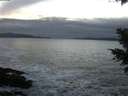 ./images/koeye/fitz-hugh/20201125/fitz-hugh20201125_170501.jpg