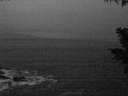 ./images/koeye/fitz-hugh/20201126/fitz-hugh20201126_073002.jpg