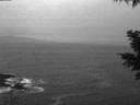 ./images/koeye/fitz-hugh/20201126/fitz-hugh20201126_073502.jpg
