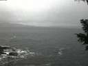./images/koeye/fitz-hugh/20201126/fitz-hugh20201126_074002.jpg