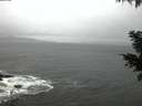 ./images/koeye/fitz-hugh/20201126/fitz-hugh20201126_074502.jpg
