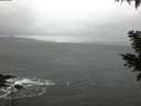 ./images/koeye/fitz-hugh/20201126/fitz-hugh20201126_075002.jpg