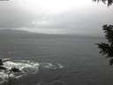./images/koeye/fitz-hugh/20201126/fitz-hugh20201126_075502.jpg