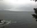 ./images/koeye/fitz-hugh/20201126/fitz-hugh20201126_080002.jpg