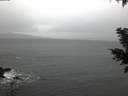 ./images/koeye/fitz-hugh/20201126/fitz-hugh20201126_080501.jpg