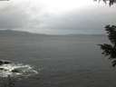 ./images/koeye/fitz-hugh/20201126/fitz-hugh20201126_081001.jpg