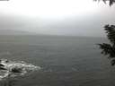 ./images/koeye/fitz-hugh/20201126/fitz-hugh20201126_081501.jpg