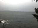 ./images/koeye/fitz-hugh/20201126/fitz-hugh20201126_082001.jpg