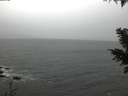 ./images/koeye/fitz-hugh/20201126/fitz-hugh20201126_082501.jpg