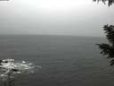 ./images/koeye/fitz-hugh/20201126/fitz-hugh20201126_083001.jpg