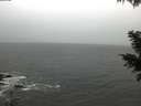 ./images/koeye/fitz-hugh/20201126/fitz-hugh20201126_083501.jpg