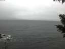 ./images/koeye/fitz-hugh/20201126/fitz-hugh20201126_084001.jpg