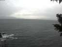 ./images/koeye/fitz-hugh/20201126/fitz-hugh20201126_084501.jpg