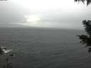 ./images/koeye/fitz-hugh/20201126/fitz-hugh20201126_085501.jpg