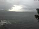 ./images/koeye/fitz-hugh/20201126/fitz-hugh20201126_090001.jpg