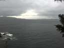 ./images/koeye/fitz-hugh/20201126/fitz-hugh20201126_090501.jpg