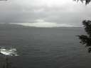 ./images/koeye/fitz-hugh/20201126/fitz-hugh20201126_091001.jpg