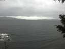 ./images/koeye/fitz-hugh/20201126/fitz-hugh20201126_091501.jpg