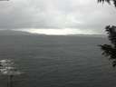 ./images/koeye/fitz-hugh/20201126/fitz-hugh20201126_092501.jpg