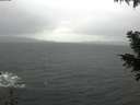 ./images/koeye/fitz-hugh/20201126/fitz-hugh20201126_093001.jpg