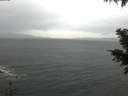 ./images/koeye/fitz-hugh/20201126/fitz-hugh20201126_093501.jpg