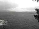 ./images/koeye/fitz-hugh/20201126/fitz-hugh20201126_094001.jpg