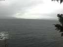 ./images/koeye/fitz-hugh/20201126/fitz-hugh20201126_094501.jpg