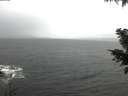 ./images/koeye/fitz-hugh/20201126/fitz-hugh20201126_095001.jpg