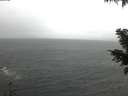 ./images/koeye/fitz-hugh/20201126/fitz-hugh20201126_095501.jpg