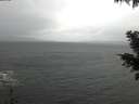 ./images/koeye/fitz-hugh/20201126/fitz-hugh20201126_100501.jpg