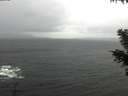 ./images/koeye/fitz-hugh/20201126/fitz-hugh20201126_101502.jpg