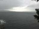 ./images/koeye/fitz-hugh/20201126/fitz-hugh20201126_102502.jpg