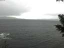 ./images/koeye/fitz-hugh/20201126/fitz-hugh20201126_103002.jpg