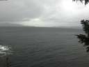 ./images/koeye/fitz-hugh/20201126/fitz-hugh20201126_103502.jpg