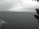 ./images/koeye/fitz-hugh/20201126/fitz-hugh20201126_104502.jpg