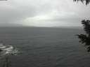 ./images/koeye/fitz-hugh/20201126/fitz-hugh20201126_105502.jpg