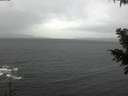 ./images/koeye/fitz-hugh/20201126/fitz-hugh20201126_110002.jpg