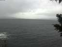 ./images/koeye/fitz-hugh/20201126/fitz-hugh20201126_111501.jpg