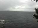 ./images/koeye/fitz-hugh/20201126/fitz-hugh20201126_113501.jpg