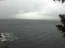 ./images/koeye/fitz-hugh/20201126/fitz-hugh20201126_114001.jpg