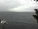 ./images/koeye/fitz-hugh/20201126/fitz-hugh20201126_114501.jpg
