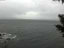 ./images/koeye/fitz-hugh/20201126/fitz-hugh20201126_115501.jpg