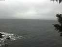 ./images/koeye/fitz-hugh/20201126/fitz-hugh20201126_121001.jpg