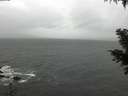 ./images/koeye/fitz-hugh/20201126/fitz-hugh20201126_122501.jpg