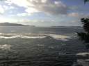 ./images/koeye/fitz-hugh/20201130/fitz-hugh20201130_121002.jpg